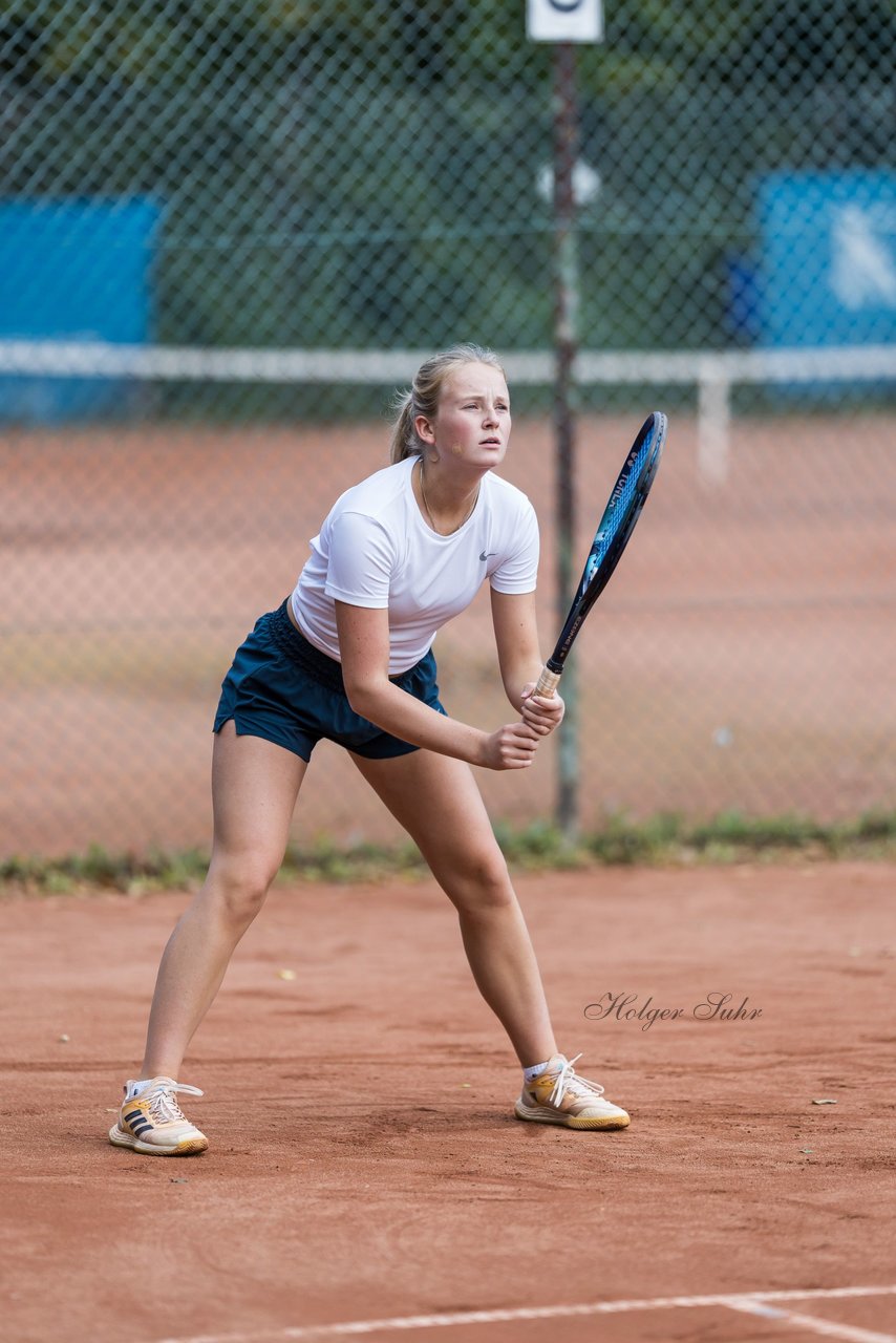 Bild 237 - dreyermedia open